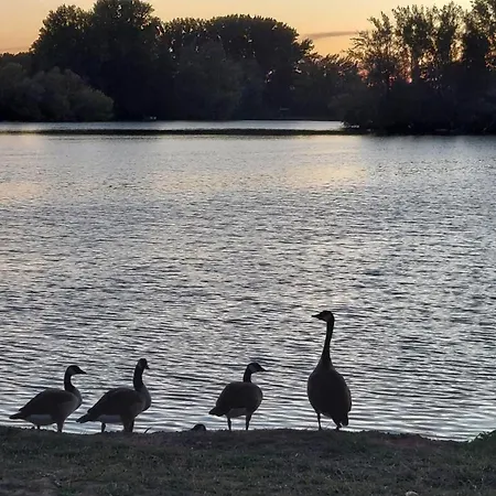 Messezimmer Laatzen Apo 2 Appartement Hemmingen (Hannover)